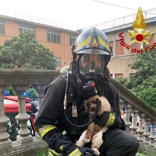 Incendio alla canonica dell'oratorio, le immagini dei vigili del fuoco: salvato un gatto