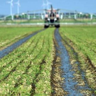 La Liguria ha raggiunto gli obiettivi di spesa PSR 2014-2020, il presidente Toti: &quot;Neanche un euro verrà sprecato per un settore strategico come questo&quot;