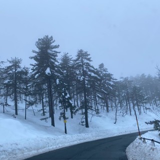 Venti intensi e neve, domenica 26 e lunedì 27 febbraio allerta gialla valanghe per il sottosettore Appennino Ligure