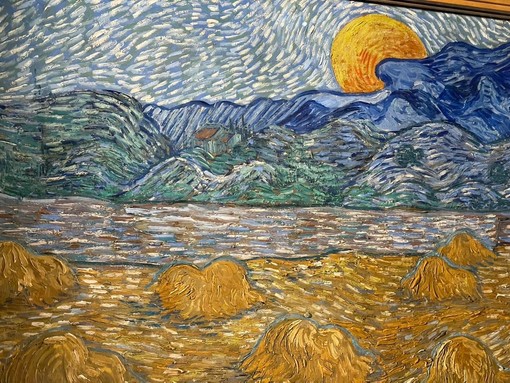 A tu per tu con un capolavoro, a Palazzo Ducale arriva &quot;Cinque minuti con Van Gogh&quot; (Foto e video)