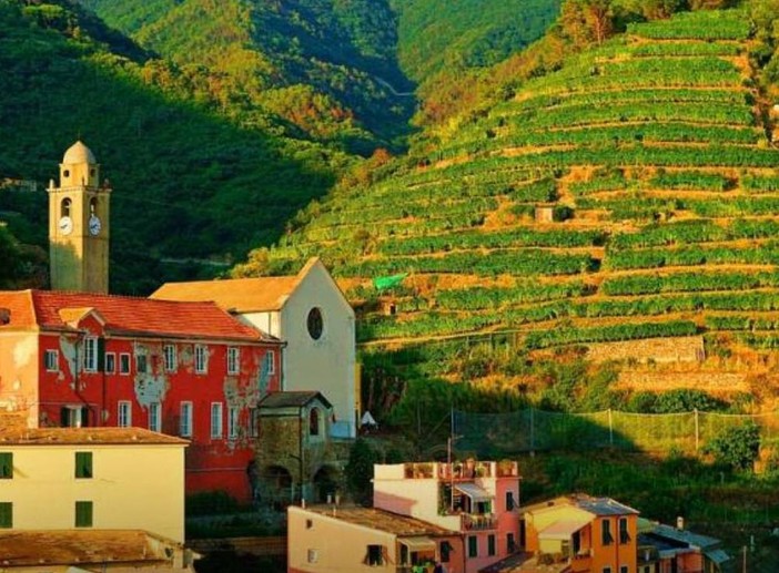 Muretti a secco, Regione Liguria incrementa il bando a quasi dieci milioni di euro