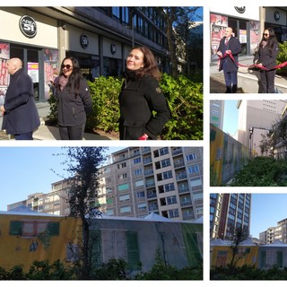 Una multinazionale del tabacco finanzia i nuovi alberi da sughero in piazza Piccapietra (FOTO e VIDEO)