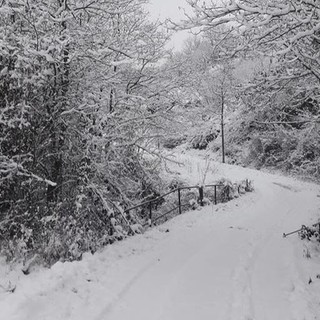 Maltempo, pioggia e neve in arrivo: le previsioni per i prossimi giorni