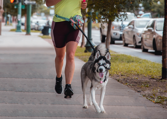 Petsfestival 2022: a passeggio per la città di Cremona con amici a due e quattro zampe