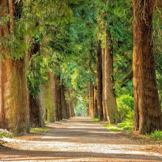 Sviluppo delle vallate, via libera alla collaborazione tra Comune e Regione per la valorizzazione del Parco delle Mura