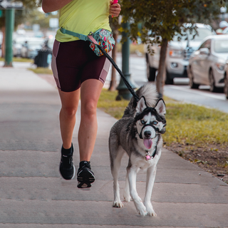 Petsfestival 2022: a passeggio per la città di Cremona con amici a due e quattro zampe