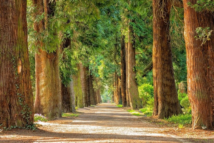 Sviluppo delle vallate, via libera alla collaborazione tra Comune e Regione per la valorizzazione del Parco delle Mura