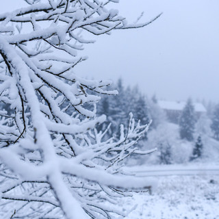 Prima nevicata di stagione a Prato Nevoso, gli impianti più amati dai liguri