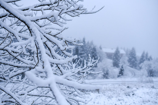 Prima nevicata di stagione a Prato Nevoso, gli impianti più amati dai liguri