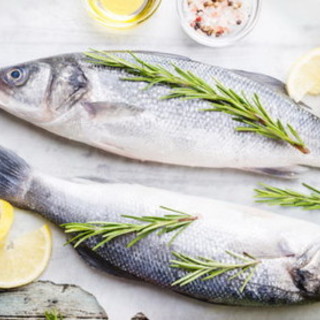 Vigilia di Natale, il pesce torna protagonista nelle tavole dei liguri, Coldiretti: “Attenzione alle etichette”