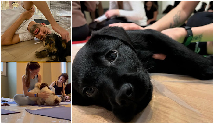 Fare esercizio con dolcezza: il 'puppy yoga' arriva a Genova