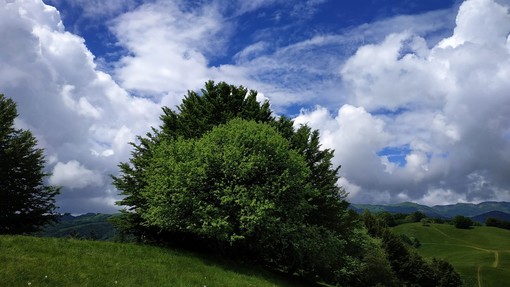 &quot;Ponte verde&quot; fra il parco dell'Antola e quello delle Mura, firmata la collaborazione tra Regione e Comune