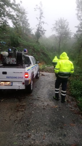 Stella, grosso albero pericolante tra Teglia e Verne: disagi alla viabilità