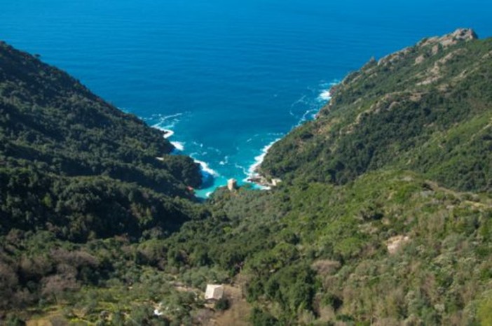 &quot;Parchi, il mare verde della liguria&quot;, al via la campagna che racconta la natura della regione