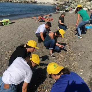 Migliaia di mozziconi, lamette, forbici e un tubo d'acciaio: la raccolta di rifiuti di Legambiente sulla spiaggia di Punta Vagno