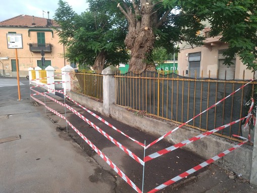 Via Piacenza, rimosso l'ex gabbiotto dei fiori, Bordilli: &quot;Demolito un simbolo di degrado&quot; (FOTO)