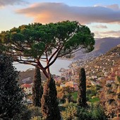 Ruta di Camogli - Foto Antonio Corrado (Facebook)