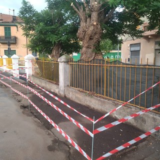 Via Piacenza, rimosso l'ex gabbiotto dei fiori, Bordilli: &quot;Demolito un simbolo di degrado&quot; (FOTO)