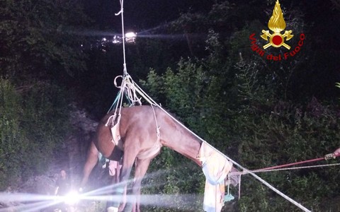 Cavallo cade in una scarpata, recuperato dai vigili del fuoco con l'autogru (foto)
