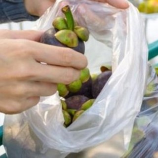 Scatta la multa (salata) per gli shopper non biodegradabili