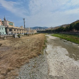 Corsi d’acqua cittadini, continua lo sfalcio nei torrenti