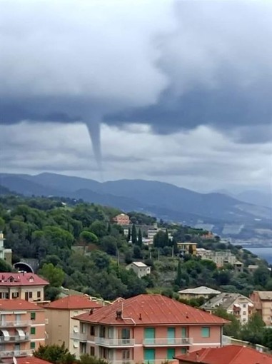 Foto di Leila Loureiro