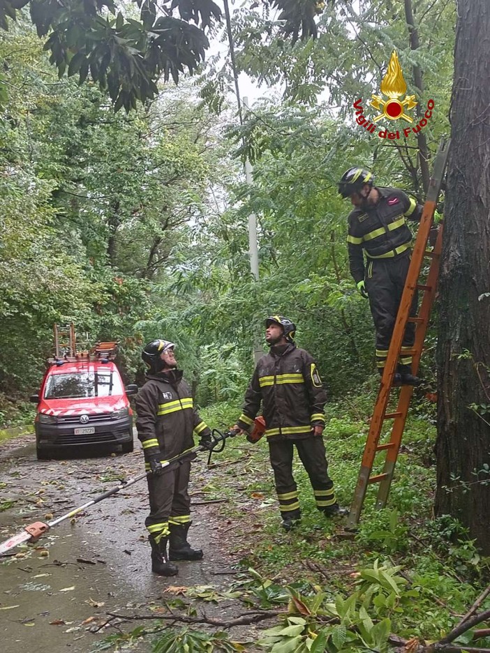 Maltempo a Genova, albero crolla in via Negrotto Cambiaso