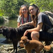 Professione dog trekker: quando la passione per la montagna incontra l'amore per i cani