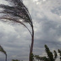 Allerta meteo per venti forti e mare agitato in Liguria