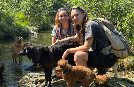 Professione dog trekker: quando la passione per la montagna incontra l'amore per i cani