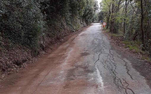 Sestri Ponente, sarà messa in sicurezza la scarpata di via Rollino