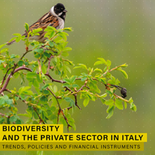 Rapporto Etifor, tutela della biodiversità è una responsabilità condivisa