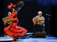 Martedì 7 giugno a Palazzo Ducale va in scena &quot;Viva Flamenco!!!&quot;